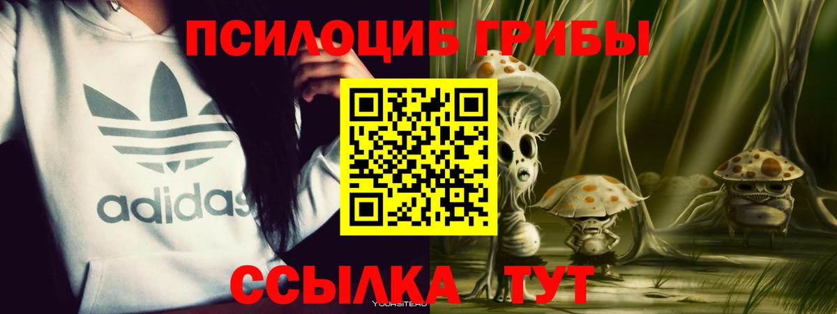 Псилоцибиновые грибы Cubensis  Вход с VPN  Псилоцибиновые грибы Psilocybine cubensis  Ухта 