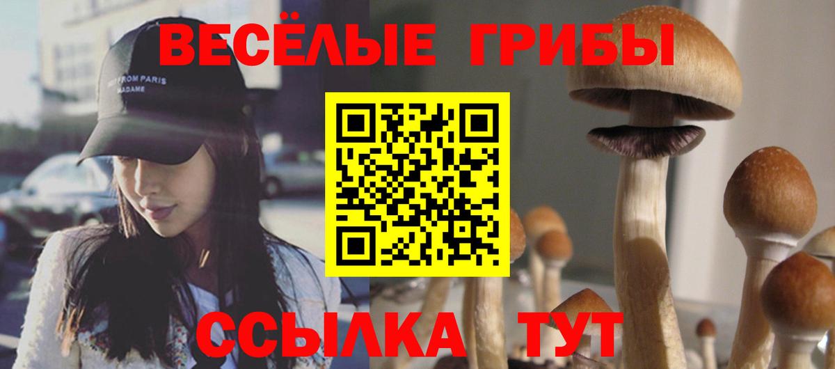 Галлюциногенные грибы Cubensis Ухта
